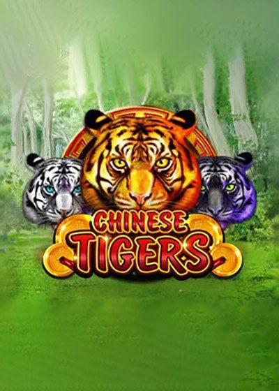 Chinese Tigers - platipus
