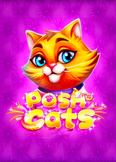 Posh Cats - platipus